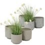 product-242538-1778589179-KAE01-0008834^2